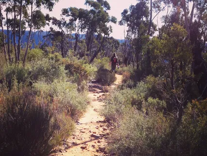 Guided Walking Meditation