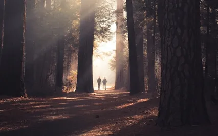 Guided Walking Meditation