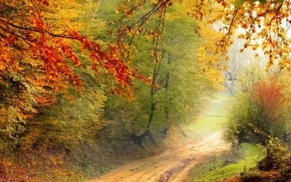 Guided Walking Meditation