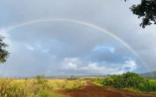 Guided Walking Meditation For Peace & Presence