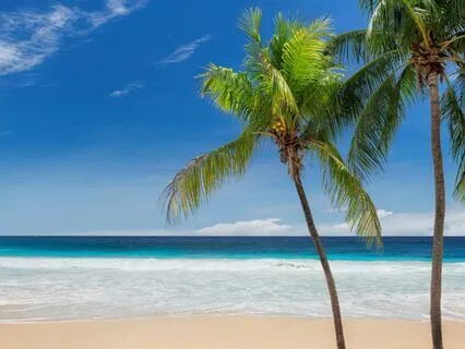 Guided Walking Meditation on a Tropical Island