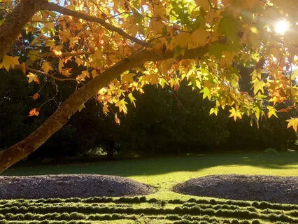 Guided Walking Practice