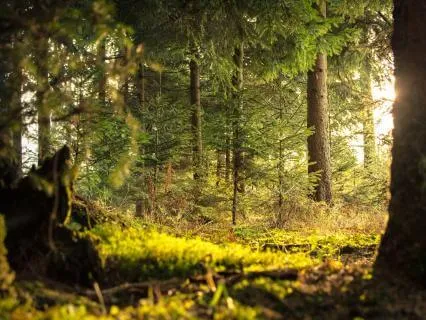 Connect With Nature And Spirit