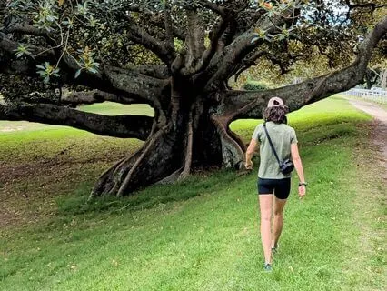 Guided Walking Meditation