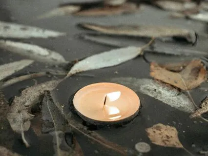 Guided Walking + Movement Meditation: Exploring The Elements