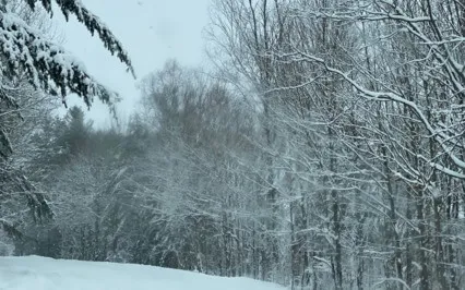 Guided Winter Meditation