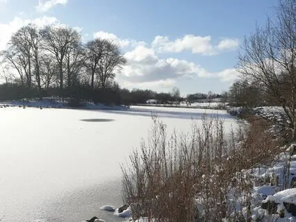 Guided Winter Meditation