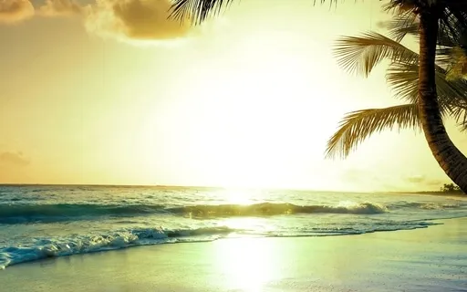 Guided Yoga Nidra Meditation With Michelle (Tropical Theme)