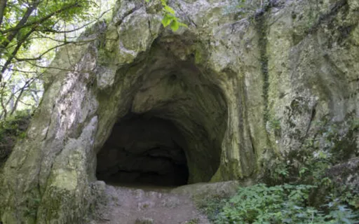 Guided Yoga Nidra With Michelle (Cave Theme)