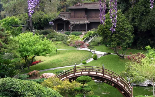 Guided Yoga Nidra With Michelle (Japanese Garden)