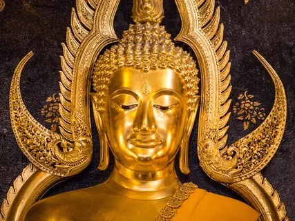 Guidelines For Wisdom Contemplations