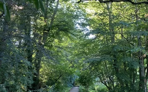 Guidet groundingøvelse