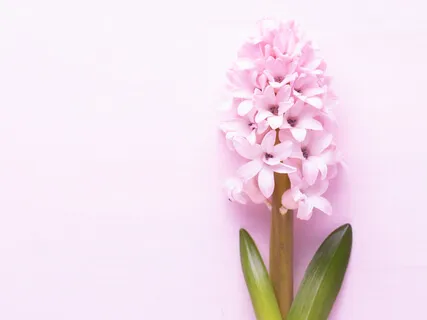 Guidet kropsscanning