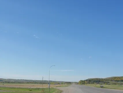 Guitar And Birds Number One