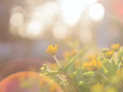 Guitar & Piano: The Seasons Change