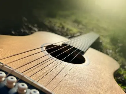 Guitar In The Grove