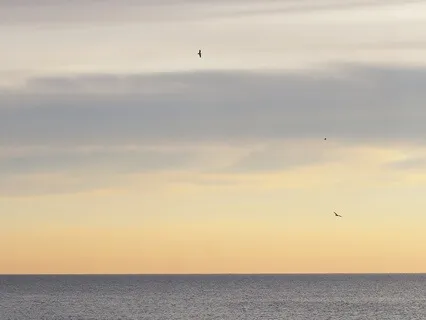 "Calma" Guitar Meditation For Anxiety Relief. Brings Calm.