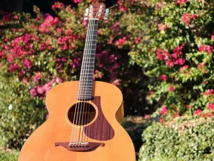 Guitar Songs From My Heart 6