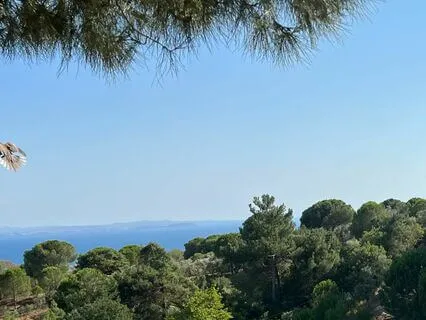 "Gune Kanatlanarak Basla"