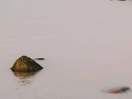 Gut Brain Meditation | Listening To Your Body And Gut