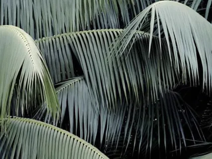 Finding Your Inner Answer When Deciding