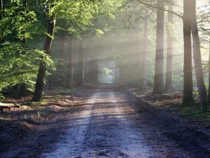 Habit Building & Mindfulness