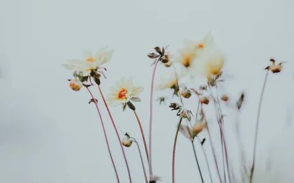 Habit Change: Morning Meditation For Motivation 