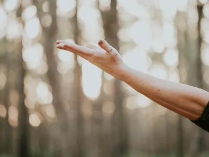 Habitat: A Soundtrack For Leisure And Wellness