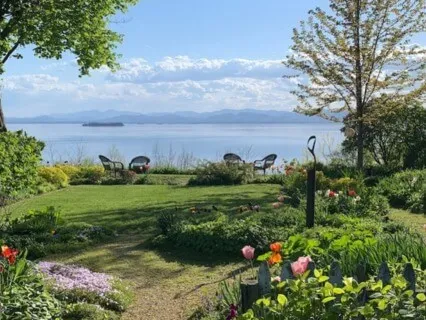 Habits Of Reactivity