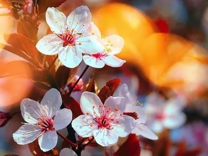 Habits To Boost Self-Confidence