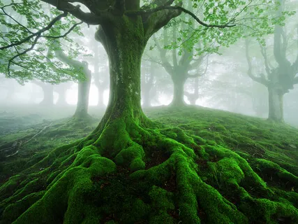 Hacking The Codex Episode 1