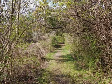 Haiku for Healing - Grounding Work For Overcoming Obstacles