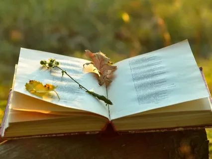 Haiku For You-Collection 2