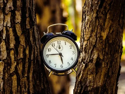 Haiku: Our Life Is Finite