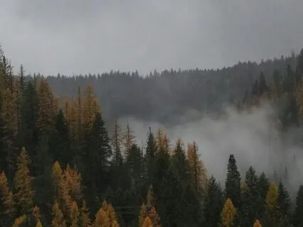 Haiku : The Last Day