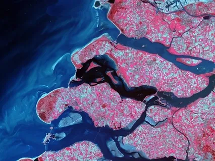 Binaural Music For Restoring & Regrowing Hair