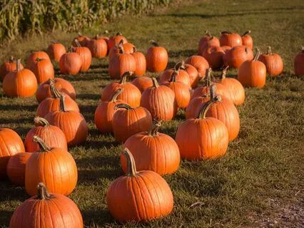 Halloween Special Meditation Practice and Anxiety relief