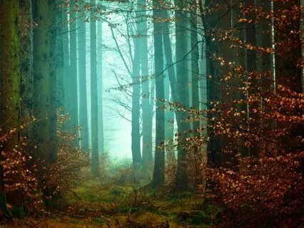 Mysterious Meditation Music