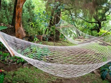 Hammock Dreams: Sleeping In A Magical Forest By The Lake