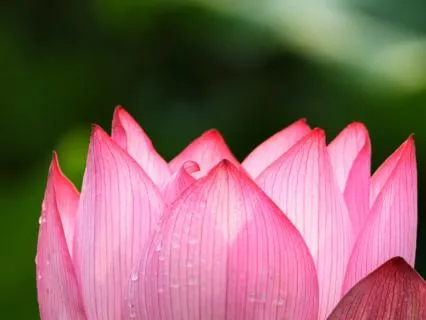 Hand On Heart: A Practice For Coming Home To Yourself