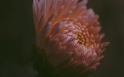 Handle Your Tired Spirit With Care