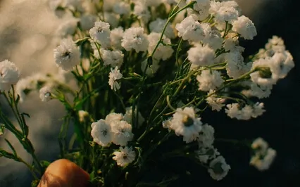 Handling Life's Complexities