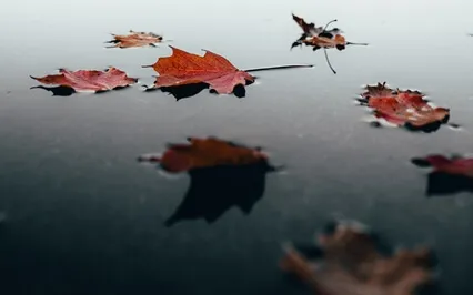 Handling Thoughts Meditation