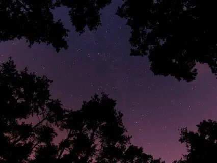 Handpan 1 Hour Tranquility Music "Starry Night"