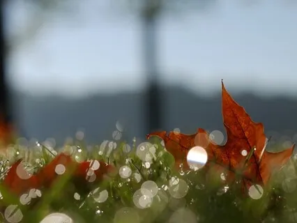 Handpan Dream 2 (Longer Version)