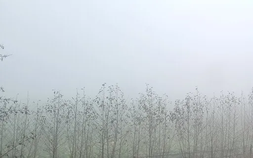 Handpan - Misty Morning