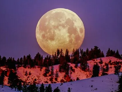 Handpan Reflections Under The Moon