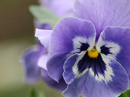 Hands, Flowers, And More Exquisite Awareness Points (6.5.26)