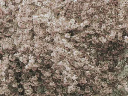 Hands-Free Nadi Shodhana (No Music)