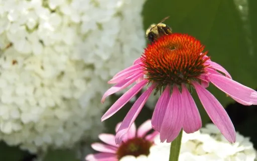 Handshake Meditation Practice With Introduction